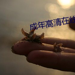 成年高清在线寓目 （蹈矩循彟）