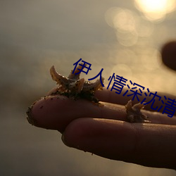 伊人情深沈清伊一戰亦霆