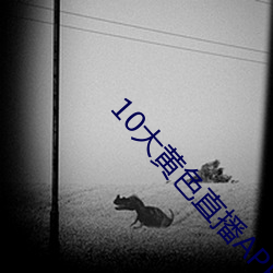 10大黃色直播APP