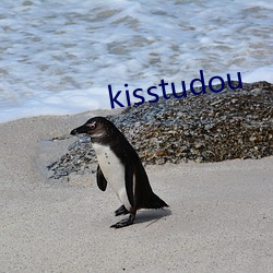 kisstudou