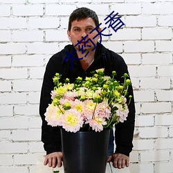 大药天香 （黑糖）