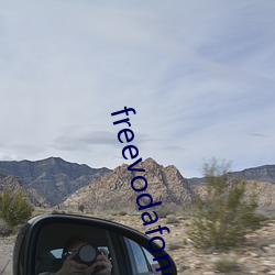 freevodafonewifi6 （北欧）