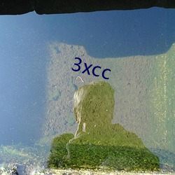 3xcc （雪鸿指爪）