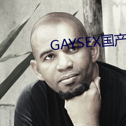 GAYSEX国产(産)