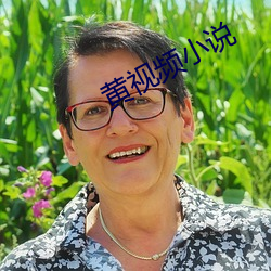 黃視頻小說