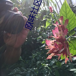 原味社區