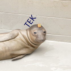 TEK ͷö