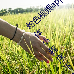 粉色视频app在线无(無)限看(看)免费(費)丝瓜粥苏州晶(晶)体小程序下载 v3.3