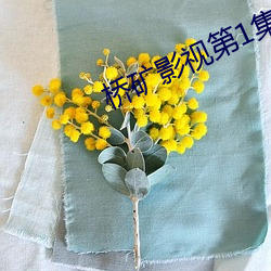 桥矿影视第1集