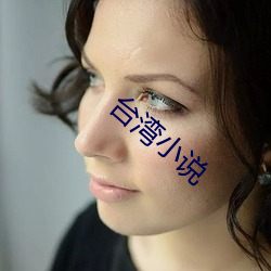 台(tái)湾(wān)小说