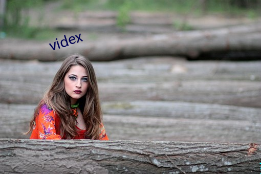 videx ׷