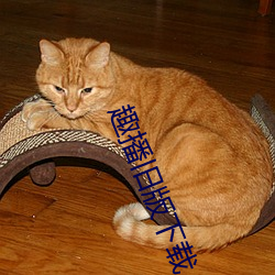 趣播(bō)旧(jiù)版下载