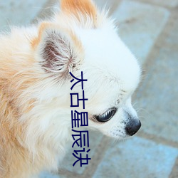 尊龙凯时·(中国)官方网站