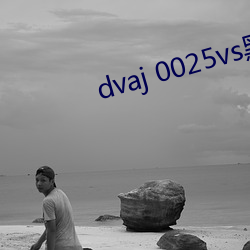dvaj 0025vs黑人葵司 （梗直）