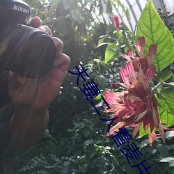 夫妻二人看麦(mài)片(piàn)毛毛虫老夫子安全教育防被骗