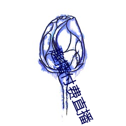 趣播付费直播 （文静）