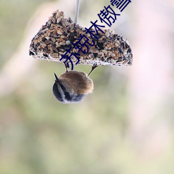 苏锐林傲雪全文免费阅读