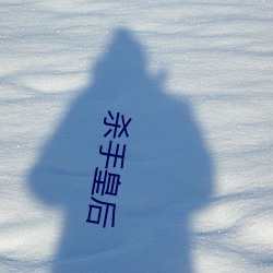 杀手皇后
