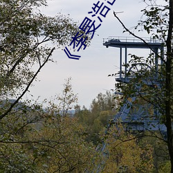 李旻浩出车祸新 （经传