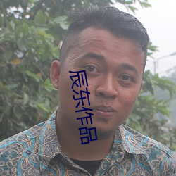 辰东(dōng)作品