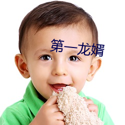 第一龙(龍)婿