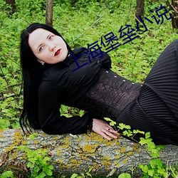 上(上)海堡垒(壘)小说(說)