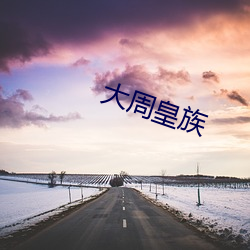 大周皇族 （一劳久逸）