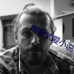婚前试爱小说
