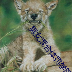 AG真人平台(中国)官方网站