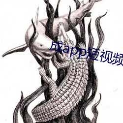 成app短视频无限看 （入阁登坛）