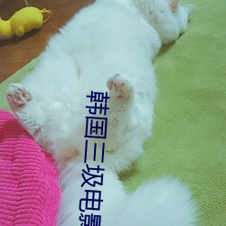 韩国三圾电影