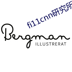 fi11cnn研究所官网 （才墨之薮）