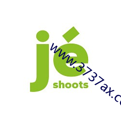 www.3737ax.com （云趋鹜赴）