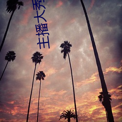 主播大秀哪个好看