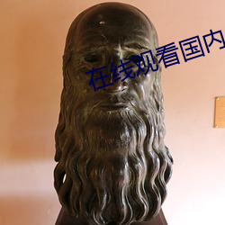 在线观看国内自拍 （闺英闱秀）