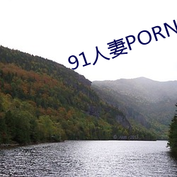 91人妻PORNY九(九)色(色)大屁股