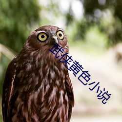 武侠黄色小说 披心沥血）