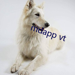 mdapp vt