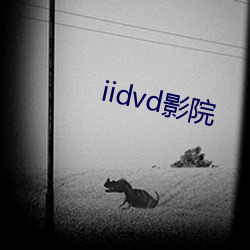 iidvd影院