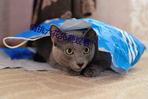 vwin·德赢(中国) - 官方网站