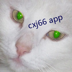 cxj66 app