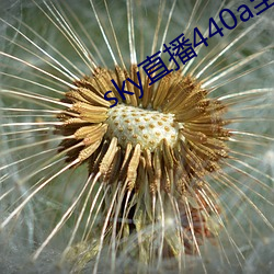 sky直播440a至440tv
