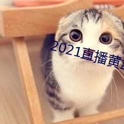 2021直播黄盒子