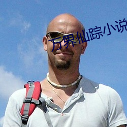 万界(jiè)仙踪小说