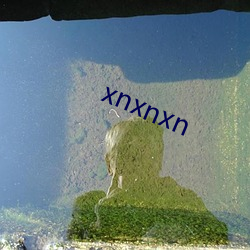 xnxnxn