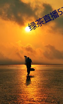 绿茶(茶)直播576tv