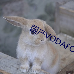 国产VODAFONEWIFI