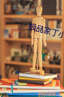 极品家丁小说