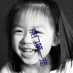 京(jng)门第一宠