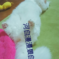 河自漫漫景自端